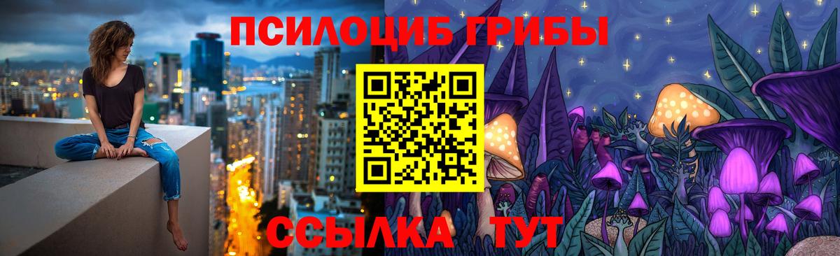 Галлюциногенные грибы прущие грибы  Вход с VPN  Берёзовский 
